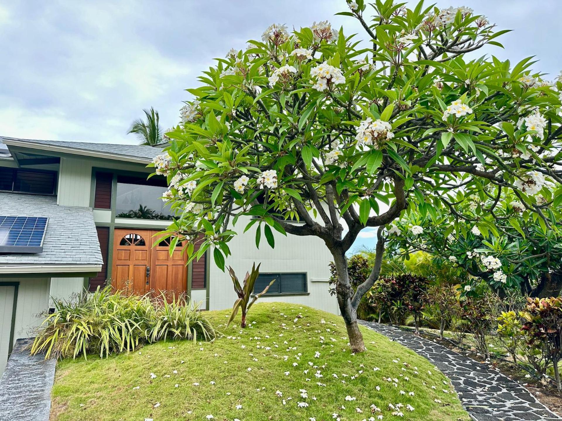 Ocean Breeze Kona Home Kailua-Kona Zewnętrze zdjęcie